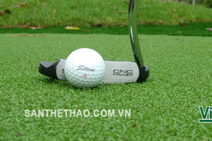 Cỏ Sân Golf